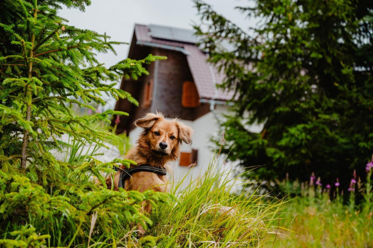 Jambrichova Chata Wysokie Tatry Zewnętrze zdjęcie